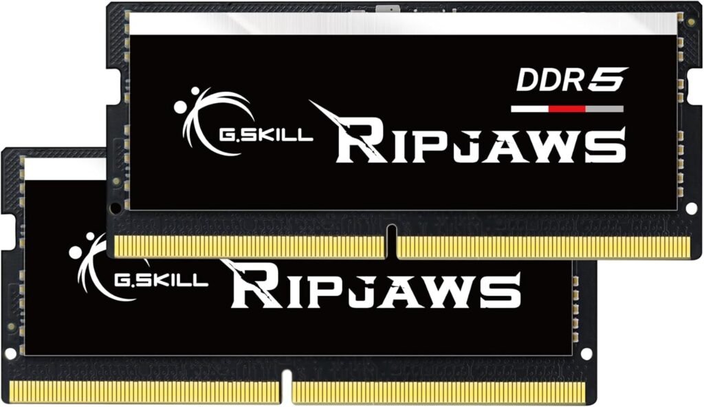 G.SKILL Ripjaws DDR5 SO-DIMM Series DDR5 RAM 64GB (2x32GB) 5600MT s CL40-40-40-89 1.10V Unbuffered Non-ECC Notebook Laptop Memory SODIMM (F5-5600S4040A32GX2-RS)